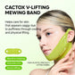 V Shaped Lifting Slimming Face Mask