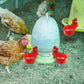 🐔utomatic poultry drinking fountain