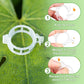 Plant Support Clips