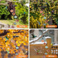 Hummingbird Wind Chime Feeder