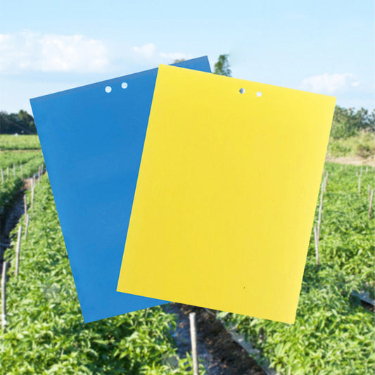 20-Pack Dual-Sided Sticky Traps