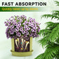 Horticultural General Nutrient Solution for Root