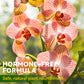 Horticultural General Nutrient Solution for Root