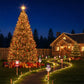 🎄Warm Glow Festive Garden Stake Lights