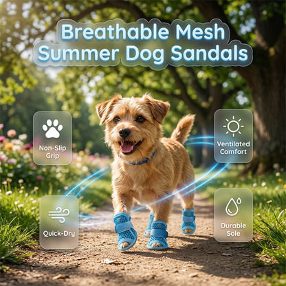 Breathable Mesh Non-Slip Dog Shoes