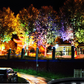 🌳💡 Ring-Shaped Solar Tree Lights – Weatherproof Outdoor Spotlights Ideal for Trees, Pillars, and Gardens