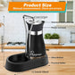 Penguin Design Salt and Pepper Shaker Set