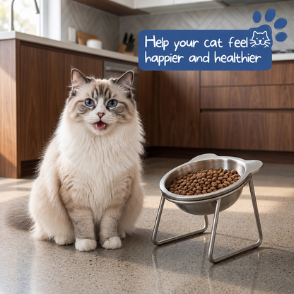 🐶2026 HOT SALE🥳💞50K+ SOLD! 🐱✨ 50% OFF!💥15° Tilted Orthopaedic Feeding Bowl🥣