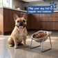 🐶2026 HOT SALE🥳💞50K+ SOLD! 🐱✨ 50% OFF!💥15° Tilted Orthopaedic Feeding Bowl🥣