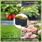 🌱 Fabric Grow Bag | Breathable Plant Pot
