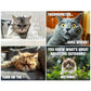 Funny Peed-Off Cats Calendar