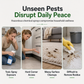 🪳 Sticky Cockroach Traps | 10-Pack
