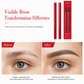 ✍️ Liquid Eyebrow Pen | Hair-Like 4-Tip Brow Marker