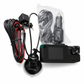 🚘 3-Channel 1080P Dash Cam | WiFi Options
