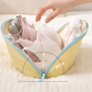 🧳 Travel Underwear Organizer | Structured Storage