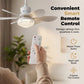 2-in-1 Cooling LED Ceiling Fan