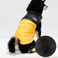 🐶 Winter Dog Coat with D-Ring | 2XL–5XL