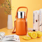 Portable Stainless Steel Insulated Cup